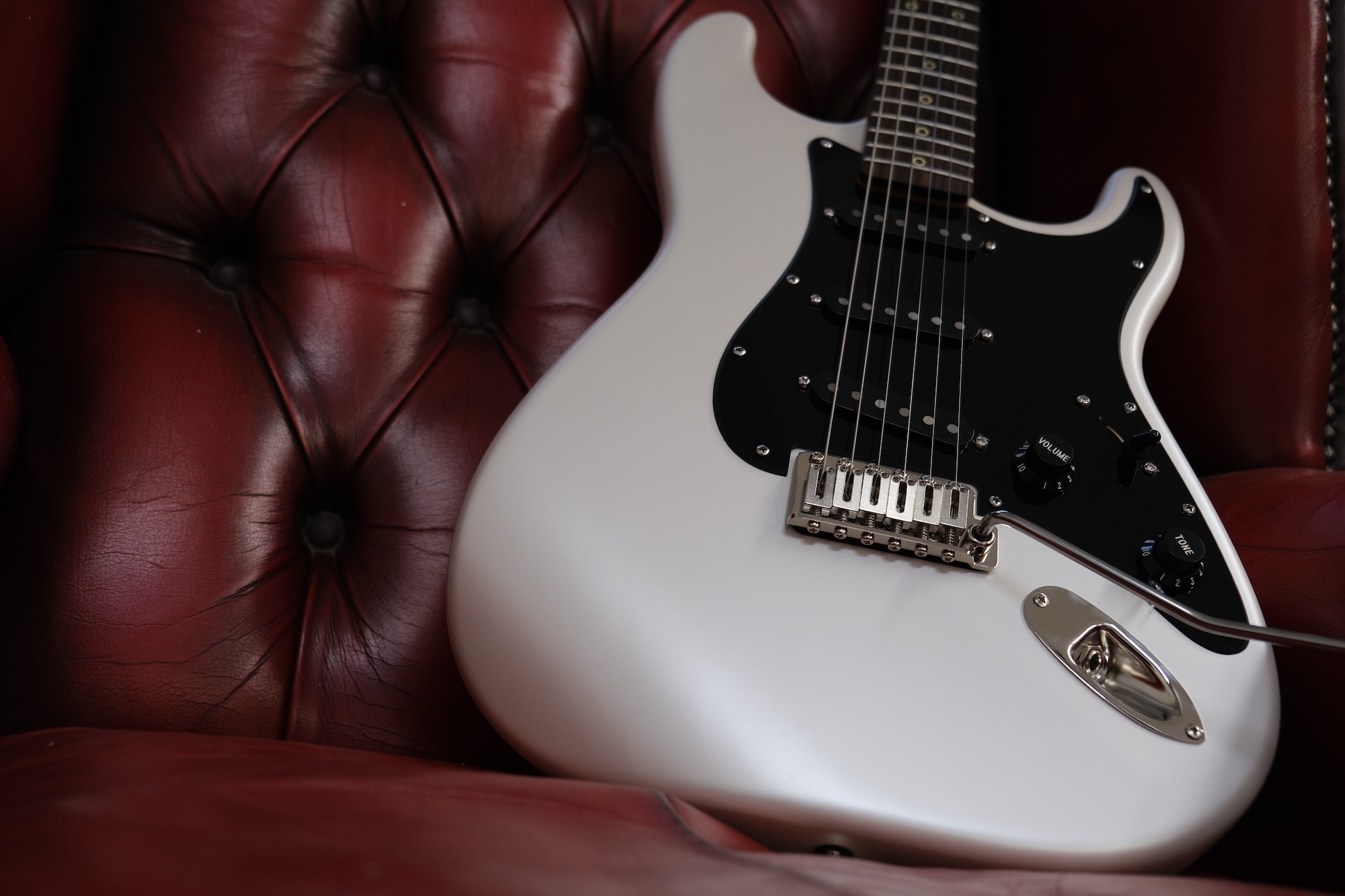 Caydence Scorpio on a couch